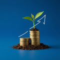 [FL113] Creating a Long-Term Financial Plan